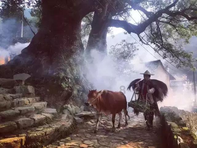 家庭意外
