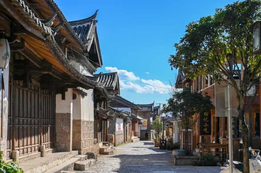 蜜蜂救援